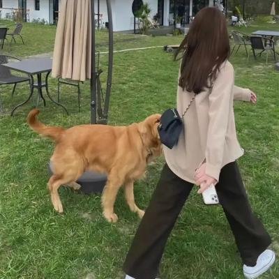美妙天堂第二季